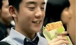 郑恺出道爆料视频大全,从青涩少年到当红明星的蜕变之路