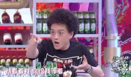 薛之谦儿子爆料视频大全,揭秘明星家庭背后的故事