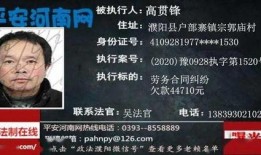 珍品传说2025最新爆料,揭秘神秘宝藏，探寻千年传奇